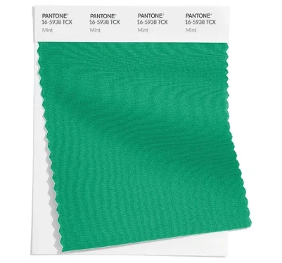 PANTONE 16-5938.png